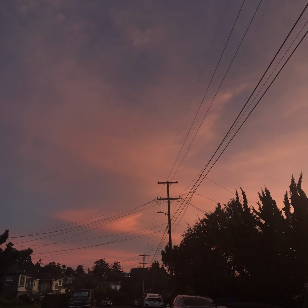 Meet your Posher, Mia